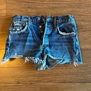 Agolde Parker Vintage Jean Shorts in Swampmeet
